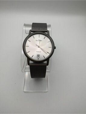 Skagen Titanium 170LTTM Watch Gray Stainless Steel Mesh Band Light Date Dial